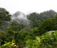 Nationaal Park Corcovado