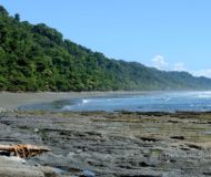 Nationaal Park Corcovado