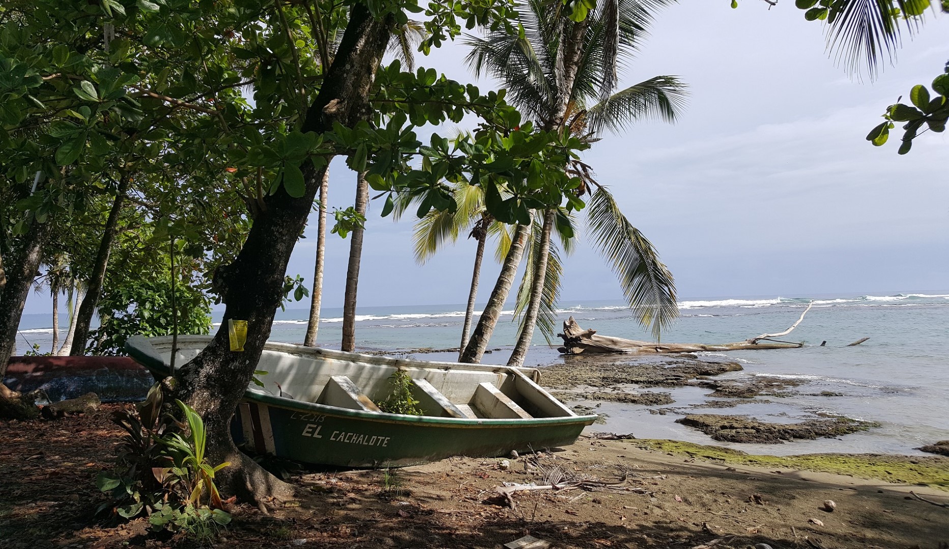 puerto viejo strand