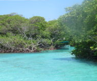 Roatán