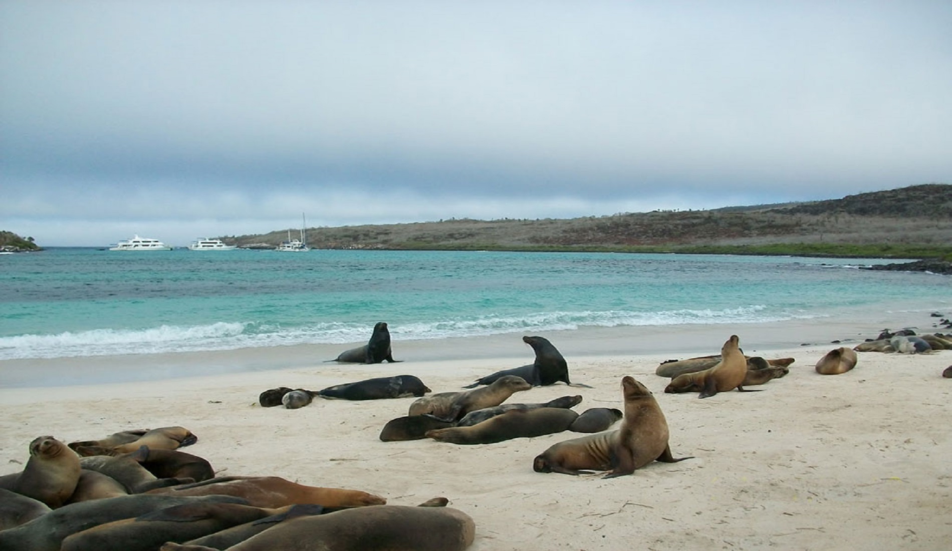 san cristobal duikreis galapagos