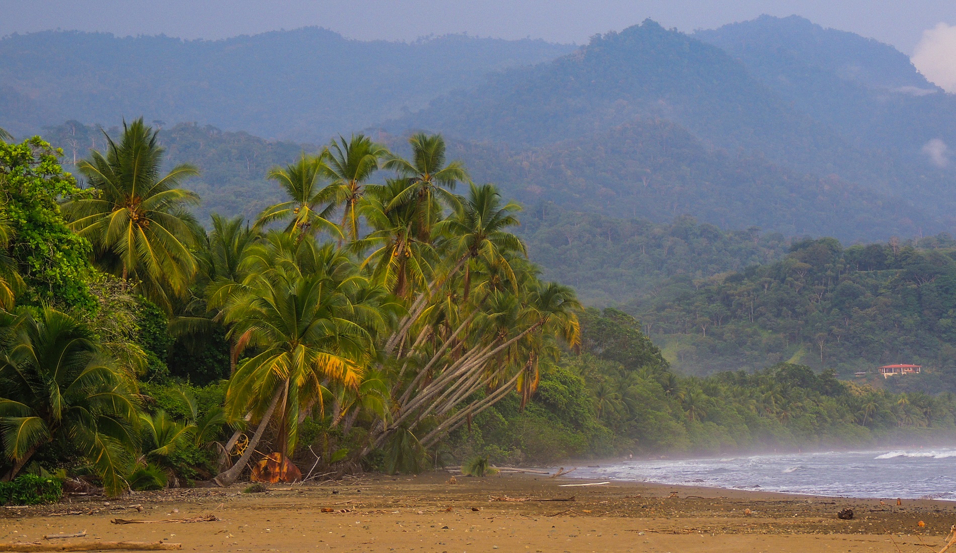 Dominical Beach