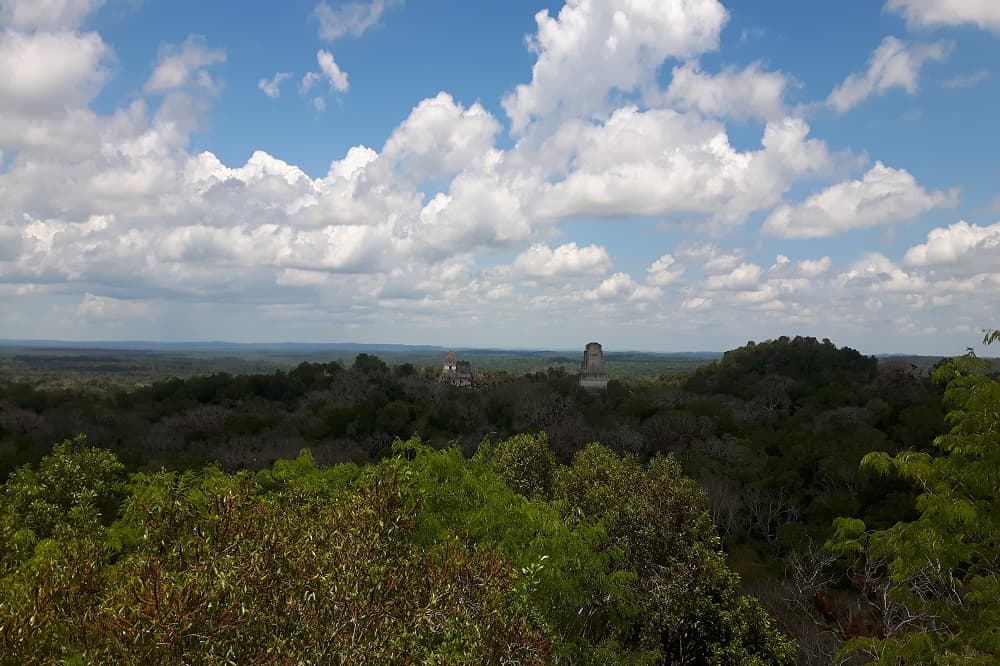 Tikal uitzicht reisverslag guatemala
