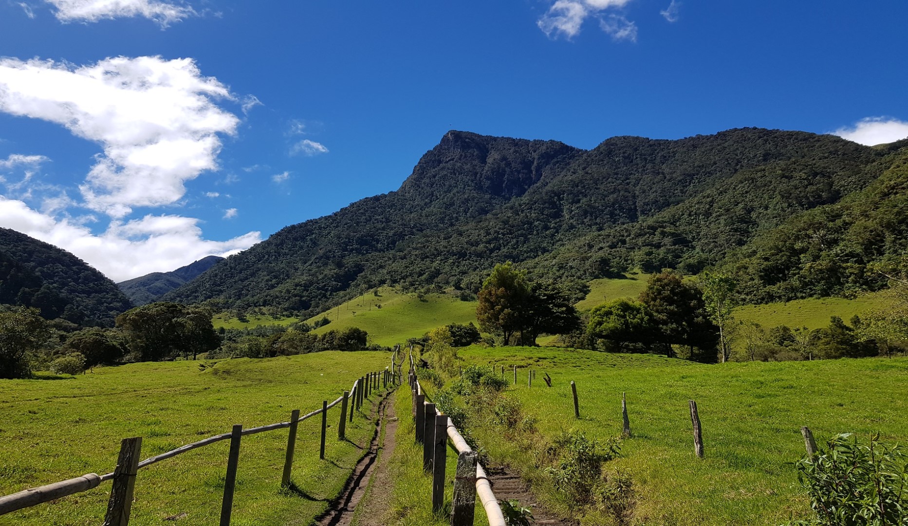 valle de cocora colombia