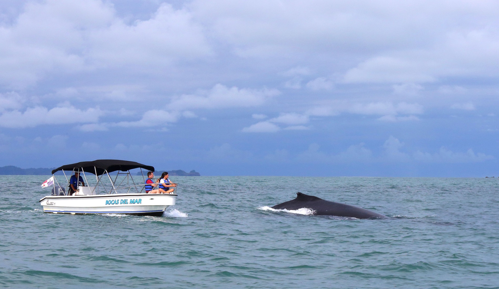walvis luxe reis panama